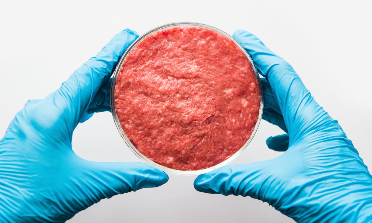 lab grown meat.jpg