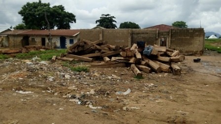 Rosewood-logs-everywhere-1.jpg